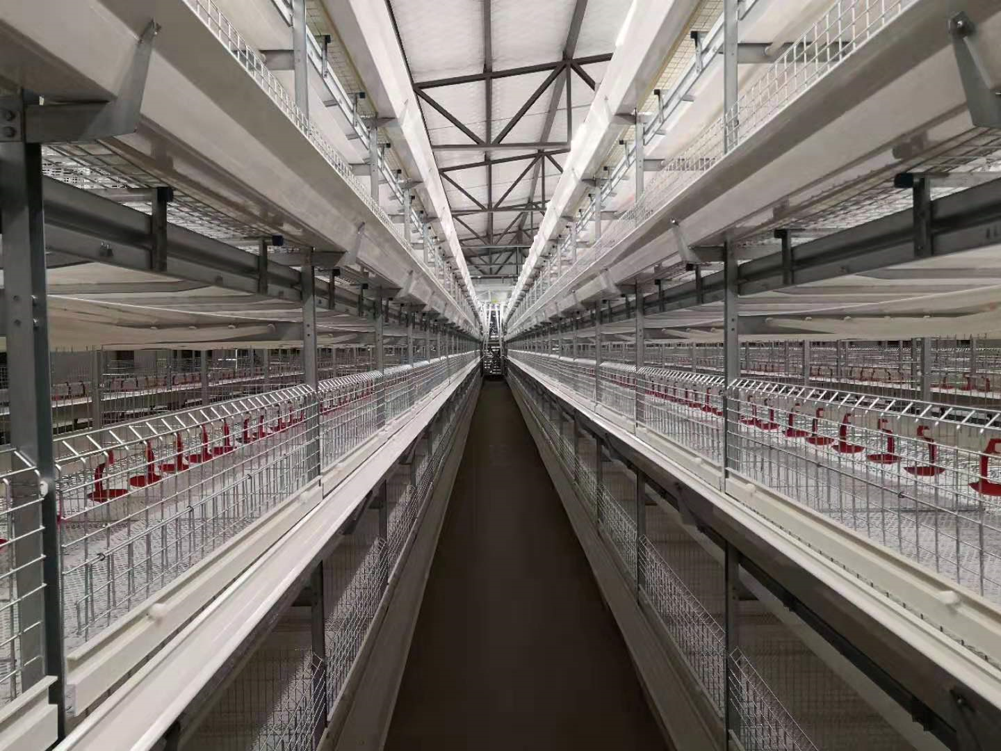 Популярная система Broiler Cage Duck Cage