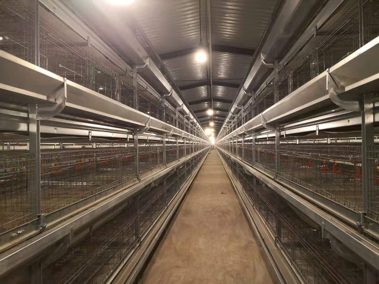 Популярная система Broiler Cage Duck Cage